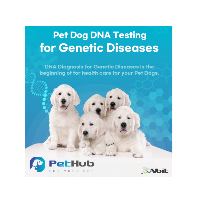 Cataracts - DNA Test for Dogs