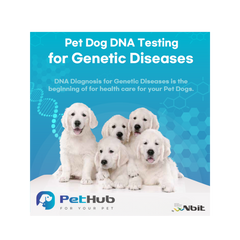 Obésité – Test ADN pour chiens